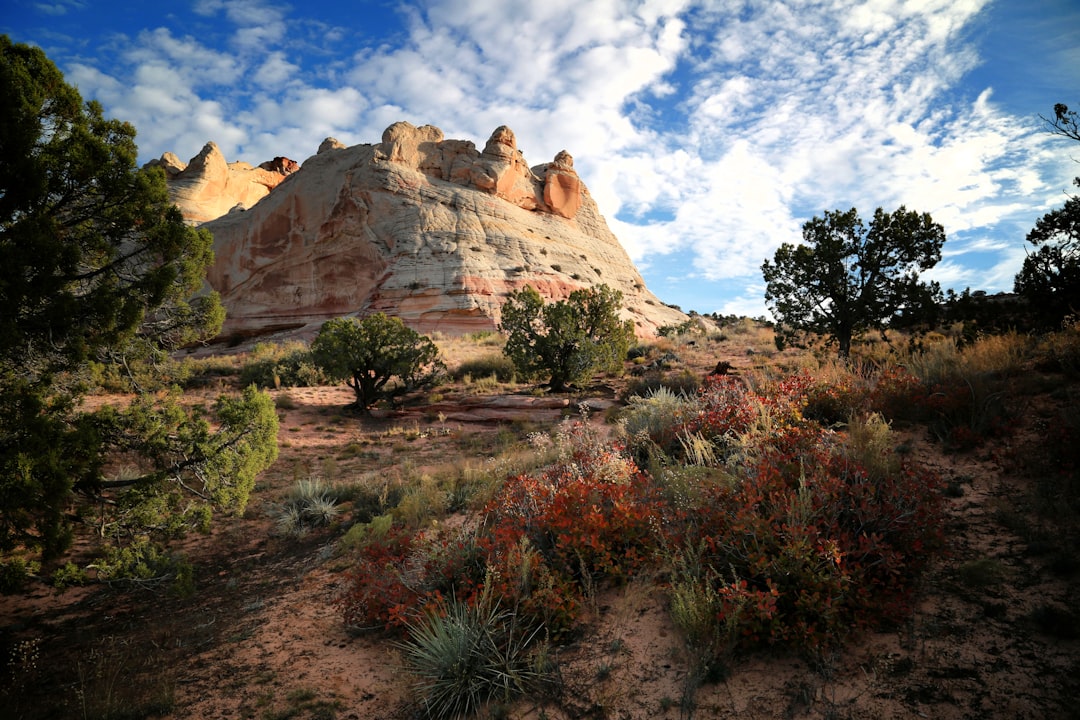 Exploring Valley of Fire State Park: A Photo Journey